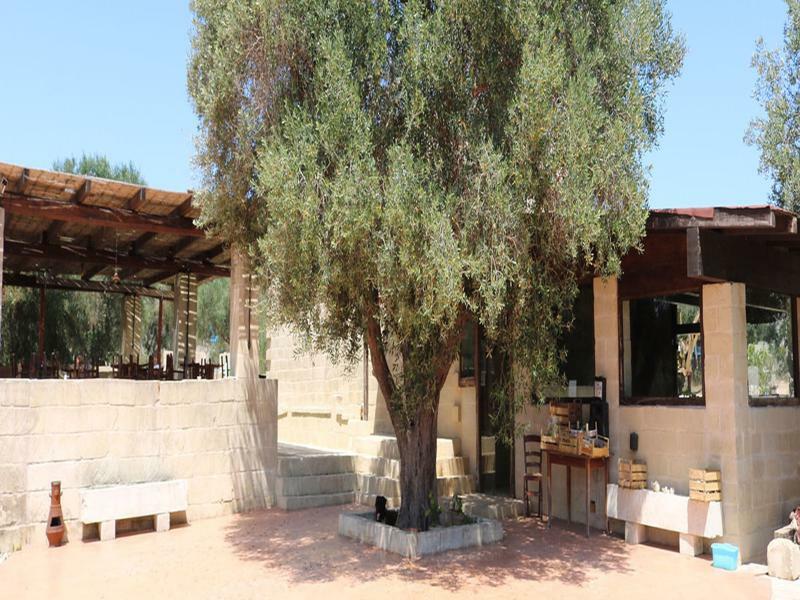 La Trottoria Agriturismo Otranto Exteriör bild